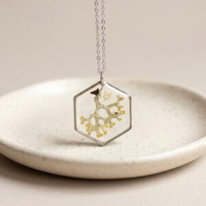 collar líquen (copia)