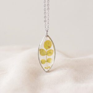 collar epilobium (copia)