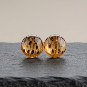 aritos stud líquenes (copia)