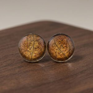 aritos stud líquenes (copia)